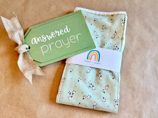 Jesus Leaves the 99 : Burp Cloth
